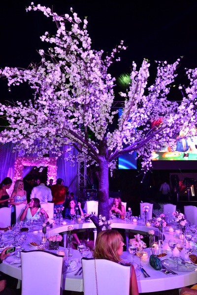 Wedding of Toni Akar